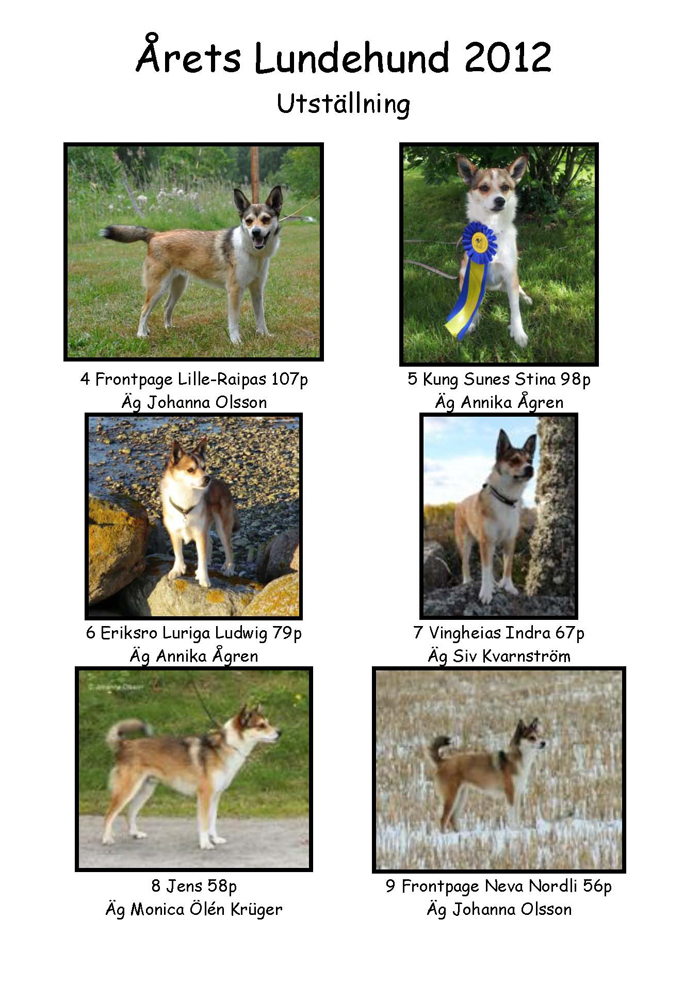 Årets lundehund sid2