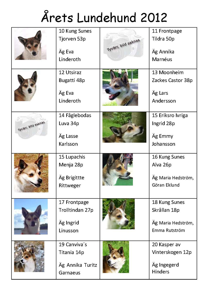 Årets lundehund sid3