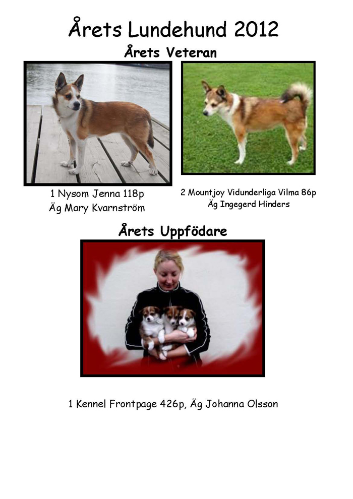Årets lundehund veteran
